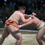 【THE INSIDE番外編】将来の関取候補がひしめく個人戦が熱い…インターハイ 相撲競技
