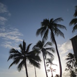 嵐、ハワイでの記念ライブは経済効果22億円との試算で「もう嵐神や」