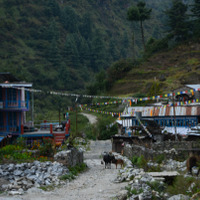 Nepal trekking