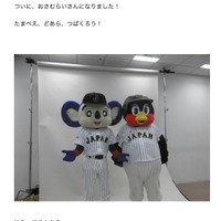 つば九郎＆ドアラ、侍ジャパンに招集「おさむらいさんになりました！」 画像