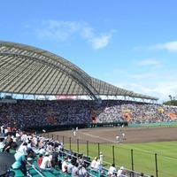軟式野球のゼビオドリームカップ、決勝は沖縄セルラースタジアム那覇で開催 画像