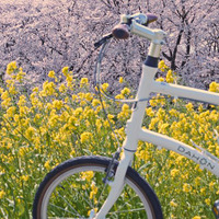 折りたたみ自転車ダホンの乗り手がサイクリングの途中で見つけた素敵な景色 画像