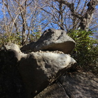 ガマ石のアップ。筑波山に来たならば、ぜひ小石を投げ入れてみよう。