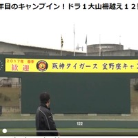 阪神タイガースのキャンプ動画、デイリースポーツ・オンラインが無料配信 画像