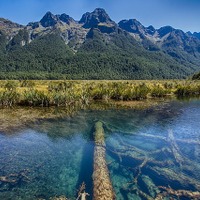 自然の美しさ…ニュージーランドのトレッキングコース 画像
