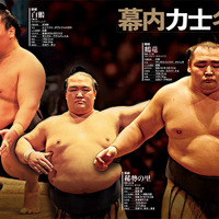 白鵬、鶴竜、稀勢の里を特集した「大相撲ぴあ 平成三十年度版」発売 画像