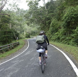 道幅が狭く山道を思わせるものの、ここも環島1号線（自転車で台湾を一周するために整備された道）の一部