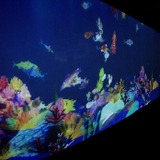 描いた魚が自由に動く！チームラボ「お絵かき水族館」…東京デザインウィーク