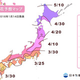 桜の開花予想…東京、名古屋、甲府は3月22日