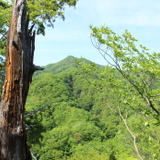 【小さな山旅】小さな山での、小さな遭難…茨城県・亀ヶ淵山（2）