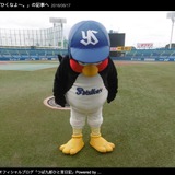 つば九郎、西武との交流戦に意気込み「3たてで～しーずんさいかいしたいっす」
