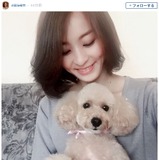 田中理恵、愛犬との2ショット「トリミングしてもらって美人さん」
