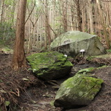 【小さな山旅】堅破山の静寂の中で…茨城県・竪破山（1）