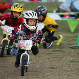 日本のちびっ子が4クラスで優勝、ストライダーカップアジア大会