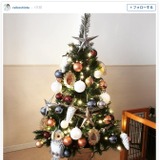 潮田玲子、クリスマスツリーを作る「息子よ、オーナメント取らないでー」