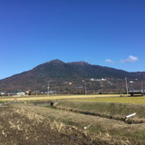 【小さな山旅】師走の筑波でガマを眺める…茨城県・筑波山(2）