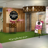 中山競馬場に女性専用「UMAJO SPOT」オープン…限定スイーツ発売