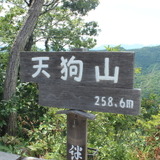 【小さな山旅】てんてん、天狗山登山！…栃木県・両崖山～天狗山（2）