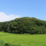 【小さな山旅】夏と千葉と最低山…千葉県富津市・稲荷山