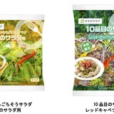 旬の野菜をふんだんにパッケージングしたサラダセットを発売