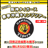 阪神タイガースの春季沖縄キャンプ見学ツアー発売…阪急交通社