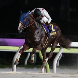 【帝王賞】ミッキーファイトが早め先頭から横綱相撲で優勝　鞍上は「未来のスーパースターホース」と太鼓判