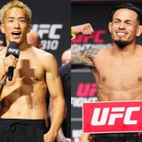 【UFC】フライ級3位のロイバル、「朝倉海 vs. ティム・エリオット」を勝敗予想　「彼は危険な選手だ」と朝倉の実力に太鼓判