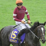 【菊花賞】ジョッキーカメラが捉えた川田将雅の2週連続“ハラハラ”ゲート内　「あー！」で発馬の災難にファン既視感