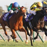 【ジャパンC】「どんなジョッキーカメラより熾烈」各馬のポジション争いにファン熱狂「バッチバチの競り合い」