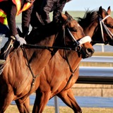 【朝日杯FS／追い切り診断】2戦2勝の一角に高評価「A」　完成度高く「パワフルな動き」　ドカンと伸びて“凄み”増す