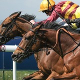 【有馬記念／穴ライズ】近2年の「伏兵扱い→激走」との共通点あり　前日“10人気”前後の盲点に漂う一発の気配