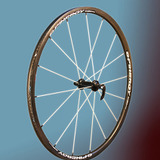 スピナジーホイールがついにシマノ11速に対応