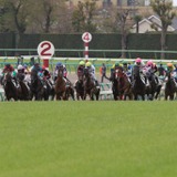 【中山記念／データ攻略】チェルヴィニアとカラマティアノスの「買い or 消し」　サンデーレーシング2騎で“買い一択”は