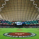 【WBC2026】海外ブックメーカーの「1次ラウンド突破オッズ」は？　米国＆侍ジャパンは“鉄板評価”もプールDは混戦模様