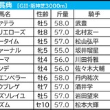【阪神大賞典／枠順】“人気馬でも0勝”の不振枠にアドマイヤテラがイン　高値安定「3.1.1.3」の軸候補は