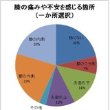 ランナーの約8割が膝に痛みや不安、走行距離が長いと不安が少ない本格派の傾向