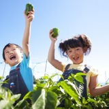 リゾナーレ八ヶ岳、自然の中でキッズアクティビティ開催…食育プログラム、空中散歩など