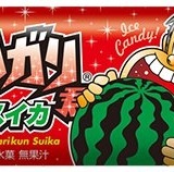 「ガリガリ君」にスイカ味が新登場！…スイカのようなシャリシャリとした食感