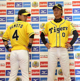 【プロ野球】阪神タイガース恒例「ウル虎の夏2015」開催…すべてがイエローに染まる