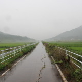 【小さな山旅】鉄道跡に作られた自転車道「つくばりんりんロード」を