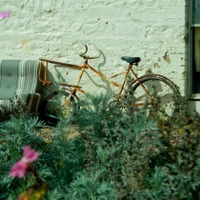 【自転車のある風景】写真アーカイブ vol.1 画像