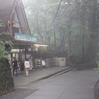 サル園・野草園。こんなものまである。