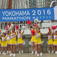 横浜マラソン2016、9月1日からのランナー募集を開始 画像