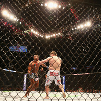【格闘技】ジョンソン対ドッドソン第2戦、フライ級タイトルマッチ迫る…UFC191 画像
