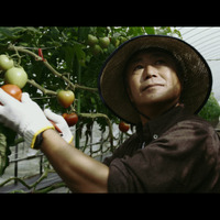 くまモンの本気…トマトのビニールハウス搭載トラックが日本縦断「トマトラ」プロジェクト