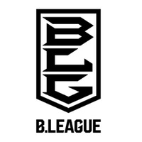 男子バスケット新リーグ、名称は「Bリーグ」に決定 画像