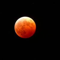 赤黒い満月と夜桜…4/4皆既月食まとめ 画像