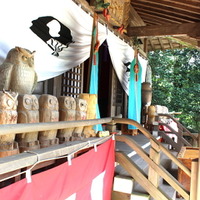 本宮神社にずらりと並ぶ、木彫りのフクロウ。