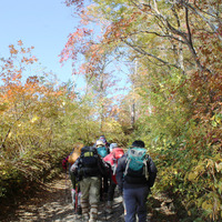 紅葉する木々の葉を見ながら、のんびり登山スタート。