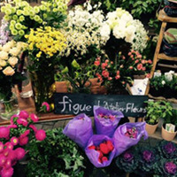 figue L’Atelier du Fleurs